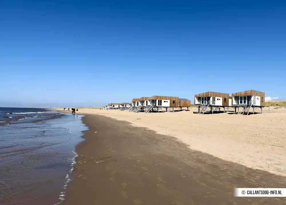 Hund am Strand von Callantsoog