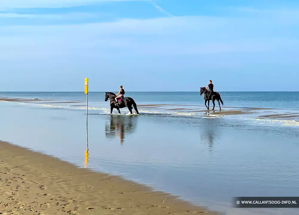 Paardrijden op het strand van Callantsoog