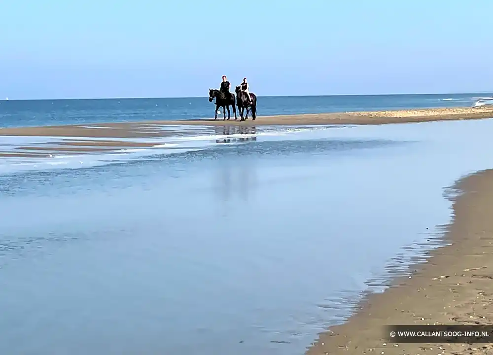 Paardrijden op het strand van Callantsoog