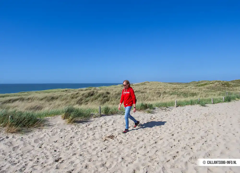 Wandelen de Paarse route Callantsoog