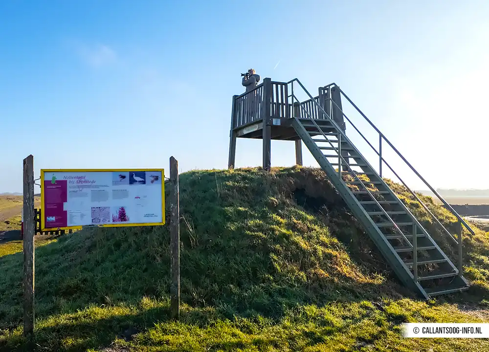 Vinkentoren bij Nollenland Abbestede