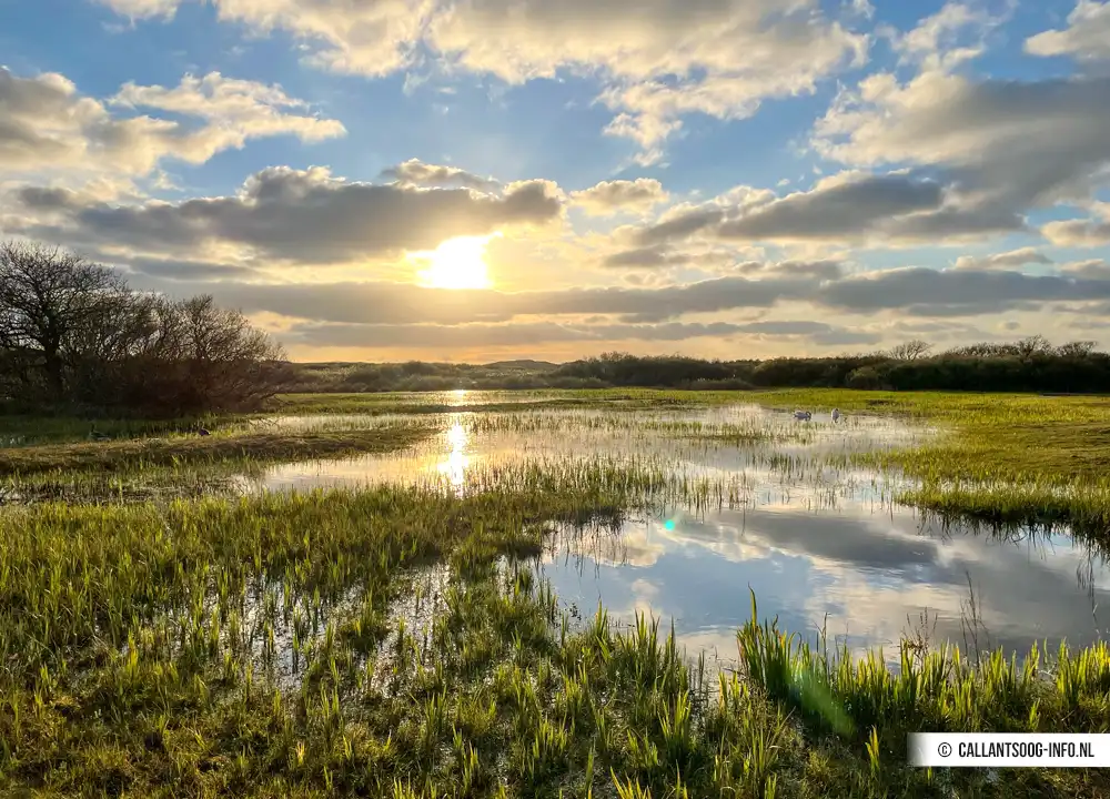 Das Zwanenwater in Callantsoog