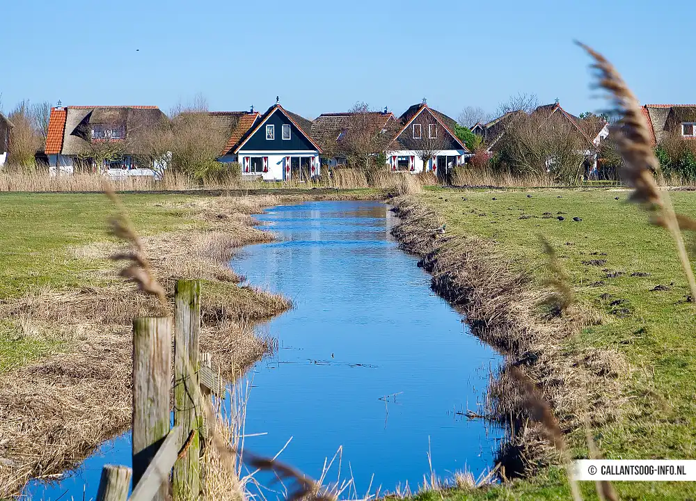 Vakantiepark Buitenplaats Callantsoog