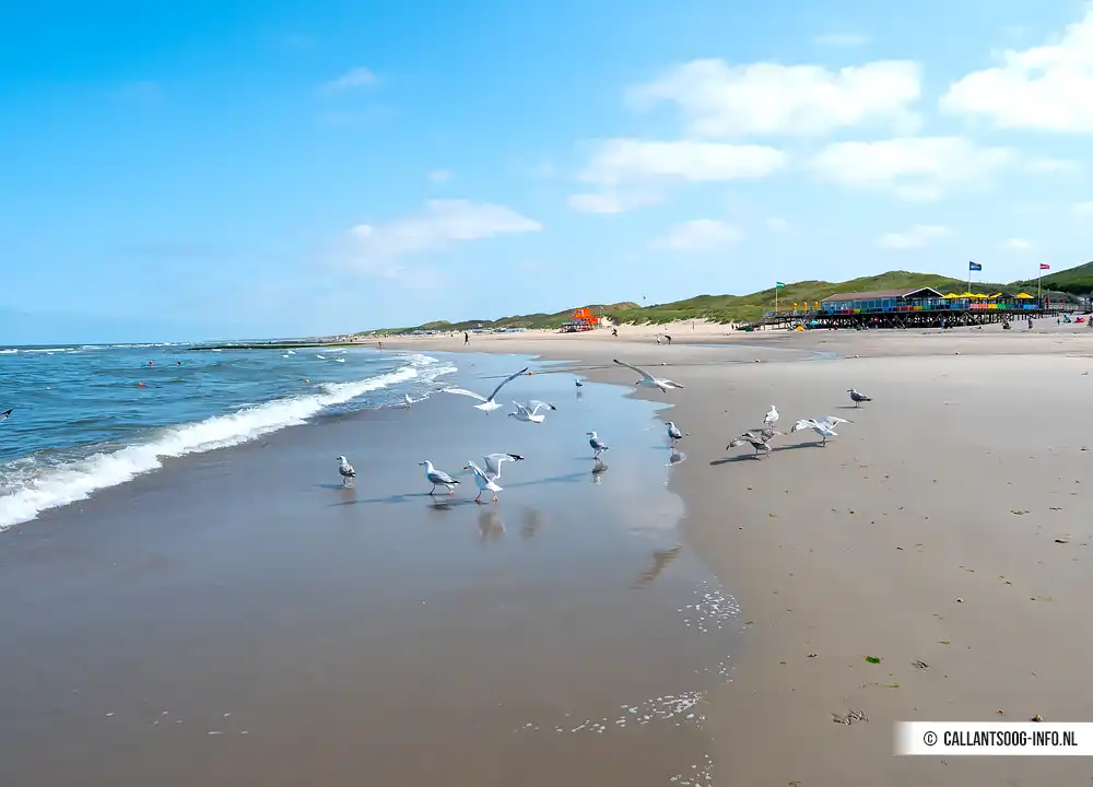 Strand Callantsoog