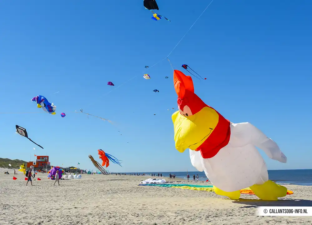 Vliegers op het strand van Callantsoog
